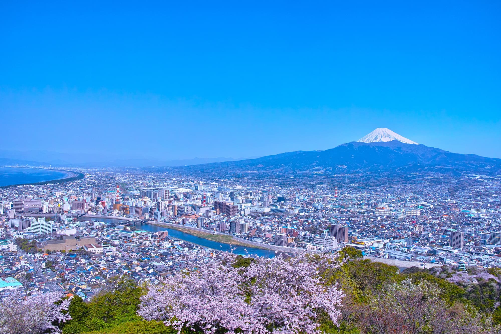 沼津市御幸町・塚本不動産鑑定事務所